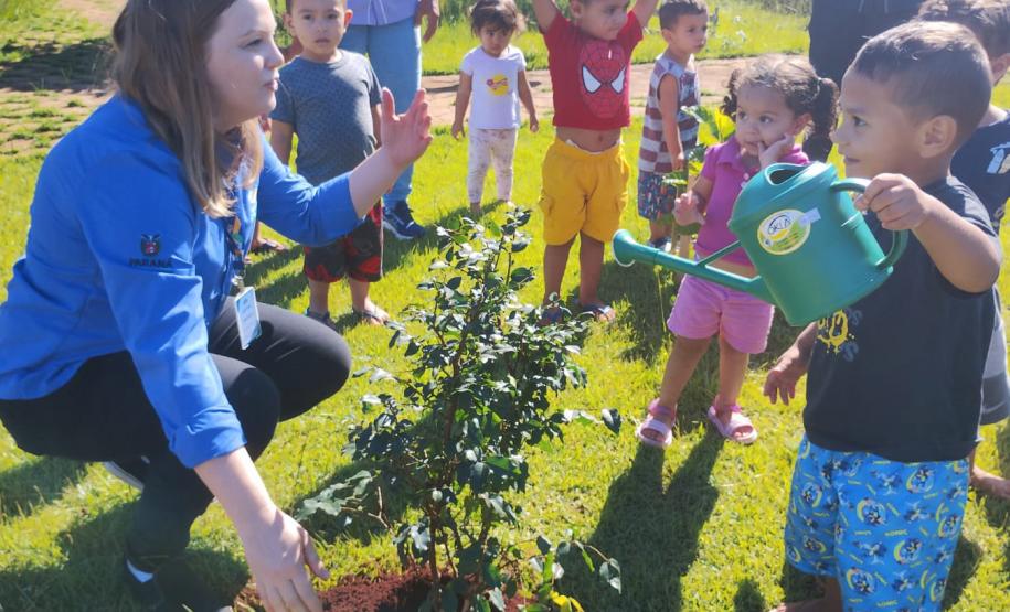 Dia Mundial da Água: mudas do IAT regeneram 264 hectares de mata ciliar