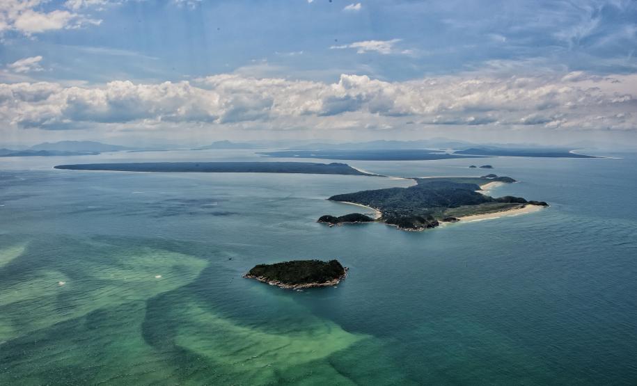 honey island and the monk