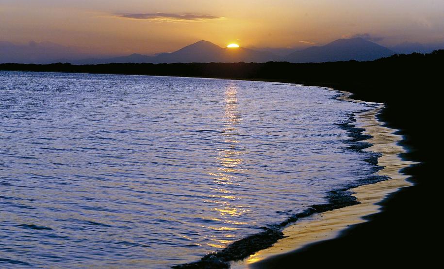 honey island and the monk