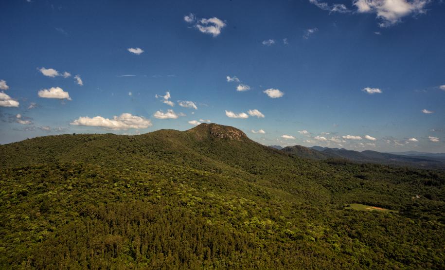 loth bread maintenance