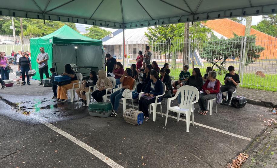 rede apoio castrapet