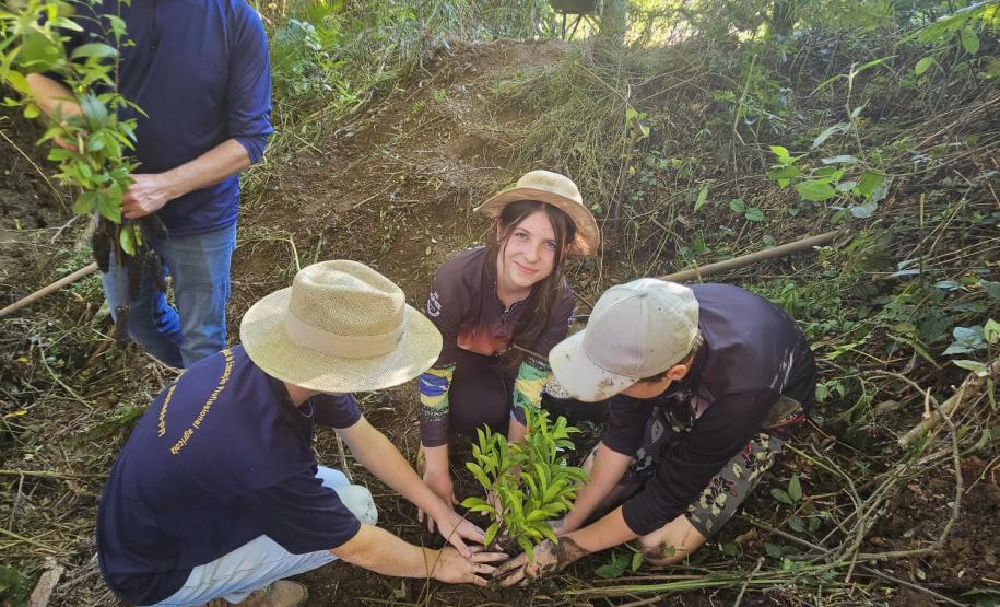 Dia Mundial da Água: mudas do IAT regeneram 264 hectares de mata ciliar