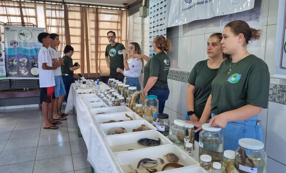 Dia Mundial da Água: mudas do IAT regeneram 264 hectares de mata ciliar