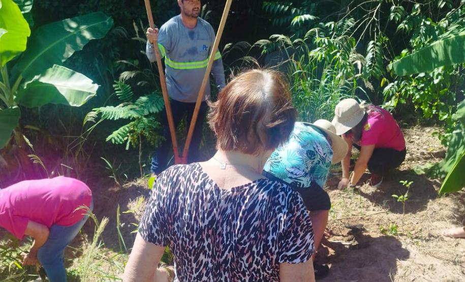 Dia Mundial da Água: mudas do IAT regeneram 264 hectares de mata ciliar