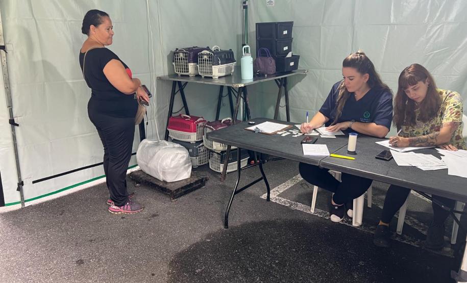 rede apoio castrapet