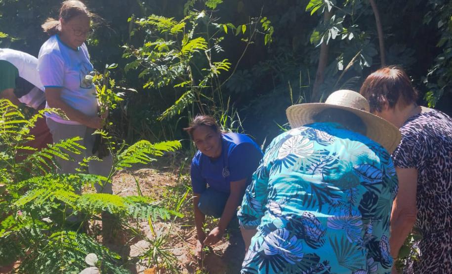 Dia Mundial da Água: mudas do IAT regeneram 264 hectares de mata ciliar