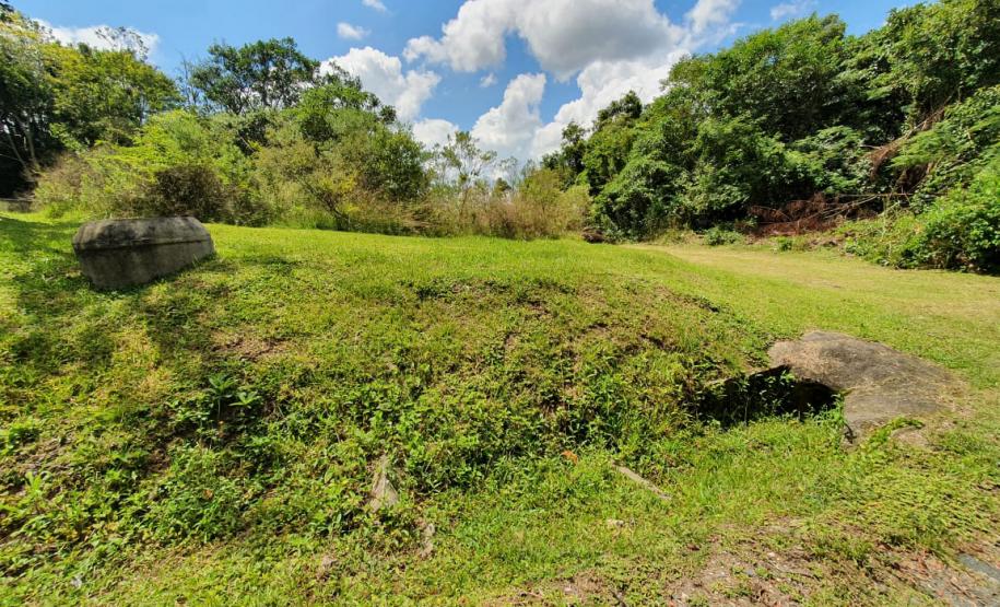 honey island and the monk