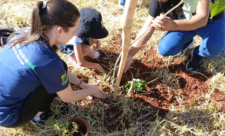Dia Mundial da Água: mudas do IAT regeneram 264 hectares de mata ciliar