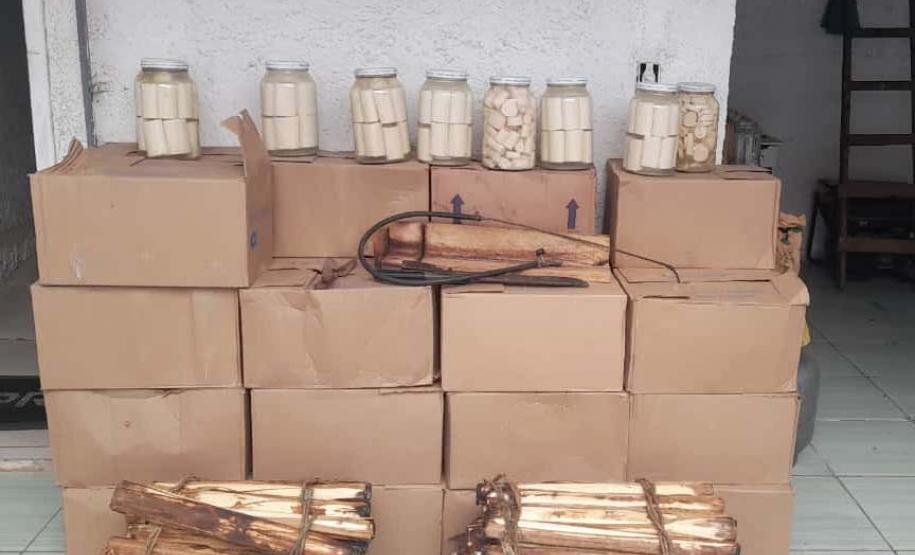 IAT apreende 318 quilos de palmito industrializado de maneira clandestina