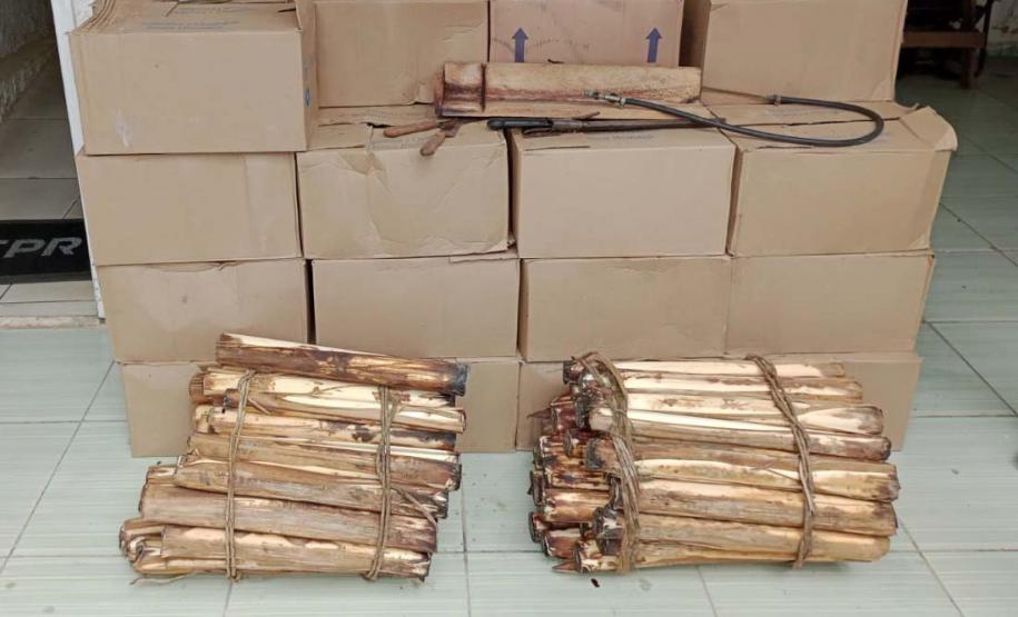 IAT apreende 318 quilos de palmito industrializado de maneira clandestina