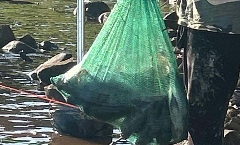 Operações comandadas pelo IAT durante o período de defeso da Piracema resultam em 44 quilos de peixes apreendidos e R$ 127 mil em multas.