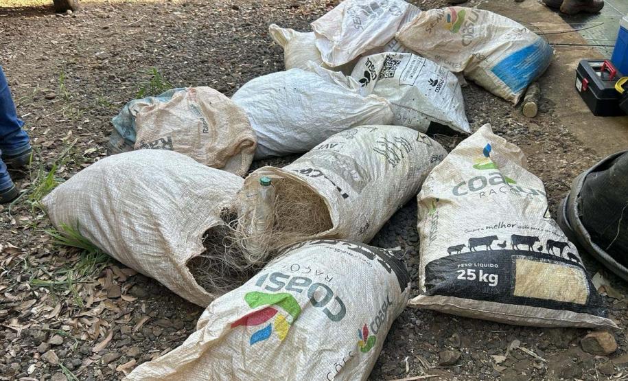 Operações comandadas pelo IAT durante o período de defeso da Piracema resultam em 44 quilos de peixes apreendidos e R$ 127 mil em multas.