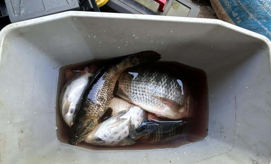 Operações comandadas pelo IAT durante o período de defeso da Piracema resultam em 44 quilos de peixes apreendidos e R$ 127 mil em multas.