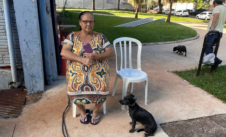 5ª fase: Estado confirma investimento de R$ 20 milhões no maior ciclo do CastraPet