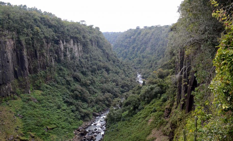 Todos abertos: parques estaduais vão funcionar com horário normal durante todo o feriado prolongado.