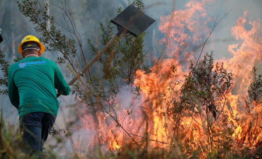 formação voluntários