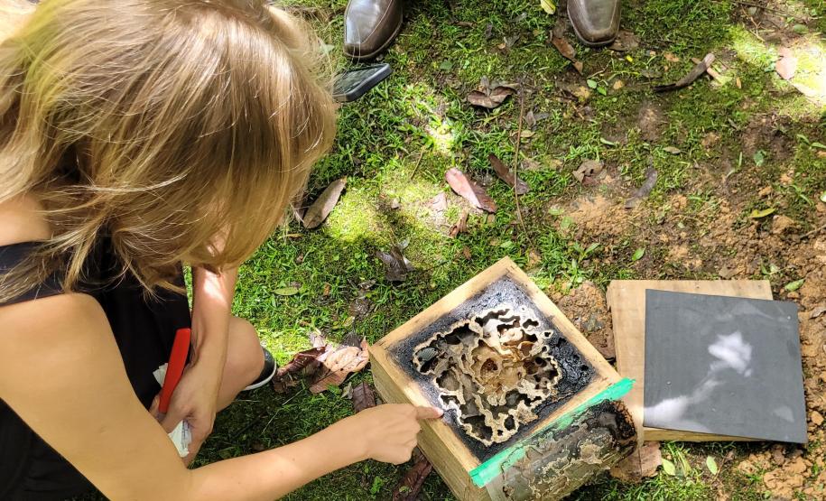 Poliniza Paraná amplia alcance e vai chegar a 21 complexos ambientais no Estado