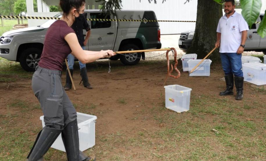 formação voluntários