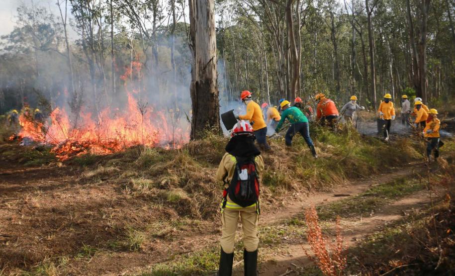 formação voluntários