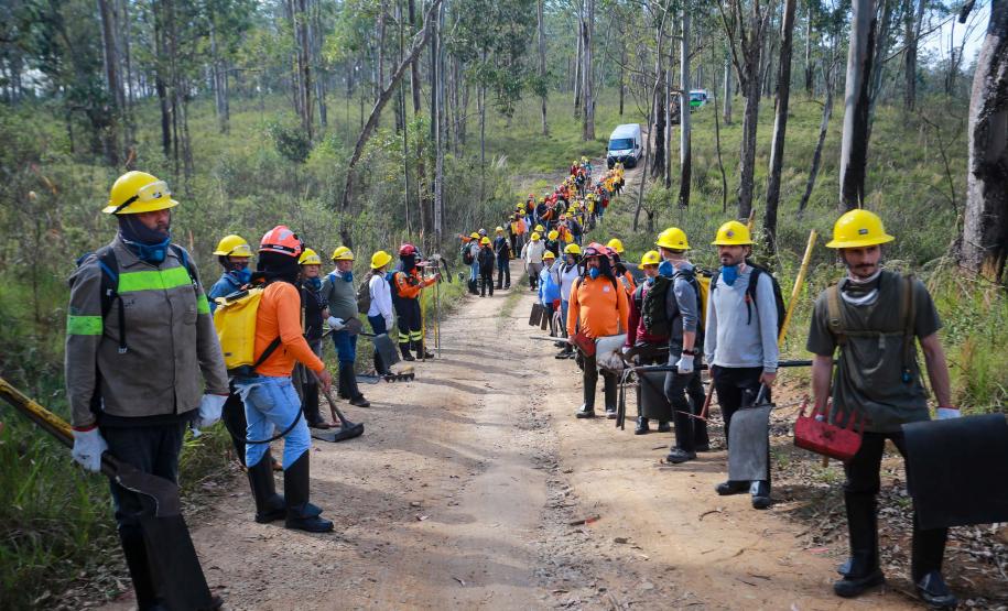 formação voluntários