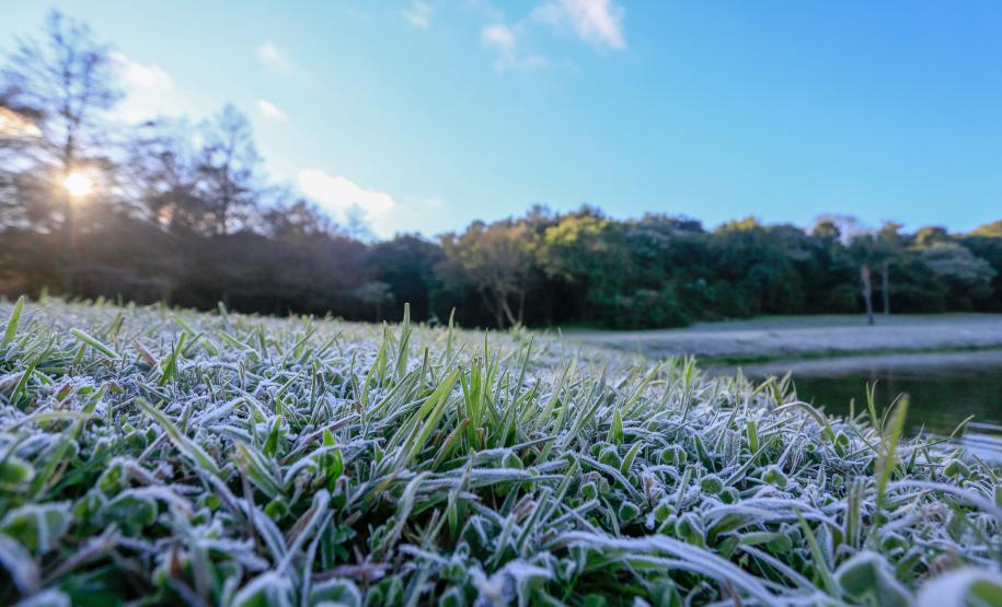 Primeira onda de frio chega ao Paraná semana que vem com termômetros perto de 0ºC