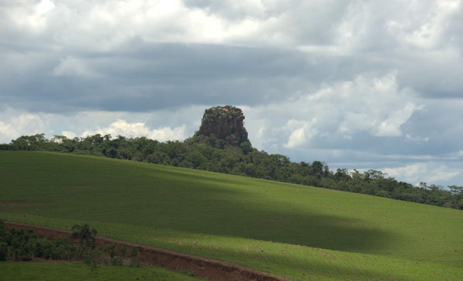 Dia da Mata Atlântica: 71% dos municípios do Paraná tiveram desmatamento zero em 2024