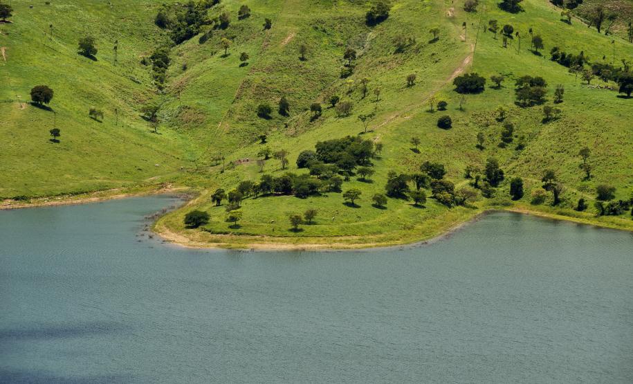 Dia da Mata Atlântica: 71% dos municípios do Paraná tiveram desmatamento zero em 2024