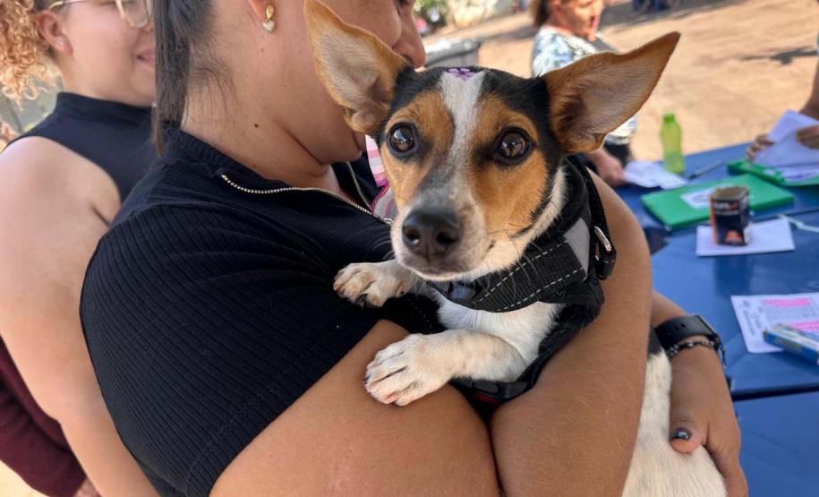 CastraPet Paraná fecha o 4º ciclo