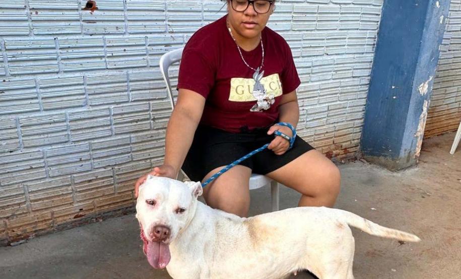 CastraPet Paraná fecha o 4º ciclo