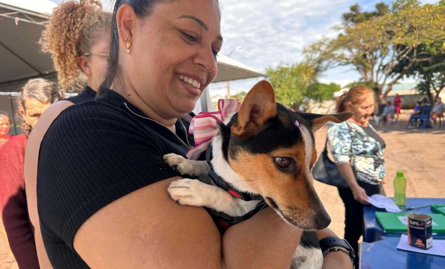 CastraPet Paraná fecha o 4º ciclo
