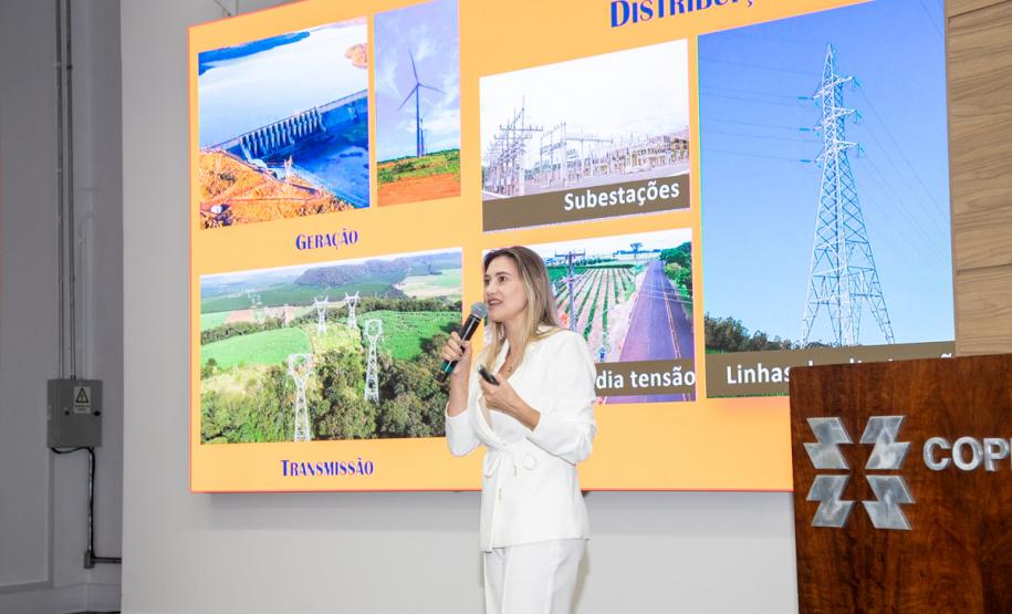 Copel e IAT fazem alinhamento técnico para analisar processos de licenciamento ambiental