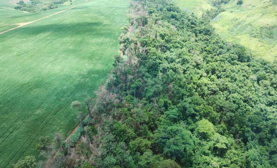 IAT identificou 478 hectares de área de vegetação danificada por fogo em quatro fazendas de Ribeirão Claro, no Norte Pioneiro