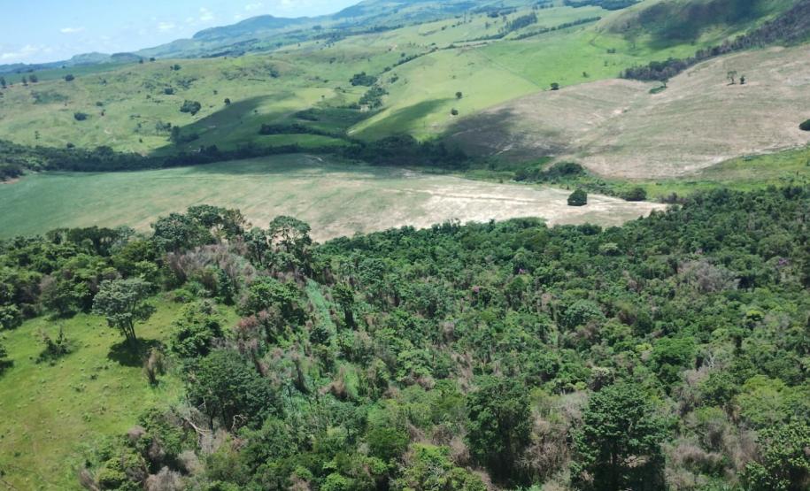 IAT identificou 478 hectares de área de vegetação danificada por fogo em quatro fazendas de Ribeirão Claro, no Norte Pioneiro