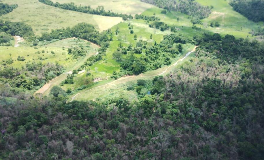 IAT identificou 478 hectares de área de vegetação danificada por fogo em quatro fazendas de Ribeirão Claro, no Norte Pioneiro