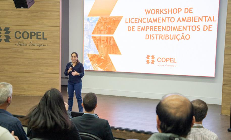 Copel e IAT fazem alinhamento técnico para analisar processos de licenciamento ambiental