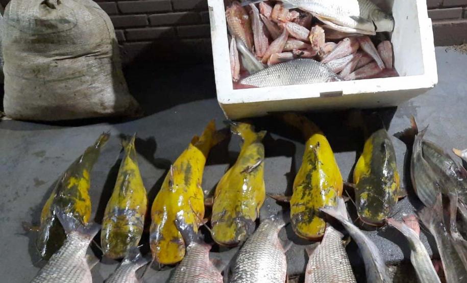 IAT interrompe pesca predatória em Engenheiro Beltrão