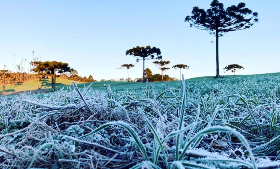 Primeira onda de frio chega ao Paraná semana que vem com termômetros perto de 0ºC