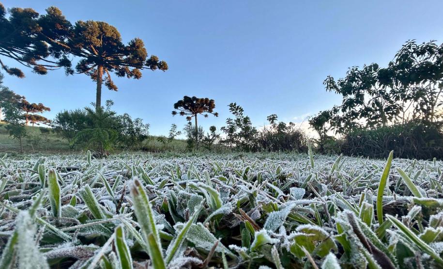 Primeira onda de frio chega ao Paraná semana que vem com termômetros perto de 0ºC