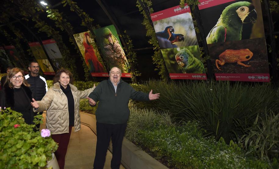 Paraná celebra meio ambiente com exposição sobre animais ameaçados; visitação é gratuita