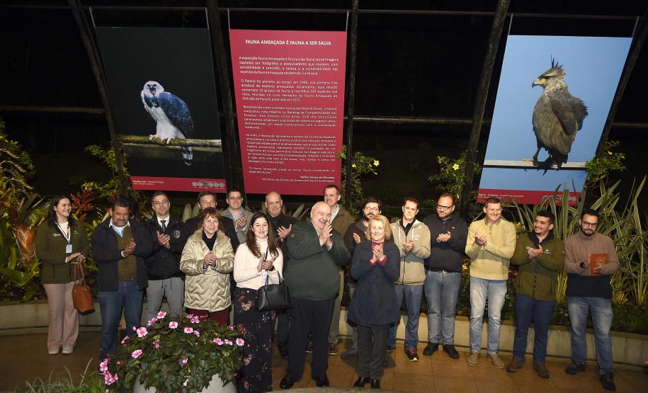 Paraná celebra meio ambiente com exposição sobre animais ameaçados; visitação é gratuita