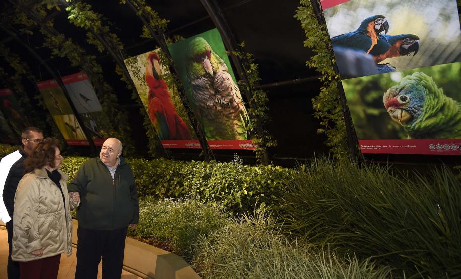 Paraná celebra meio ambiente com exposição sobre animais ameaçados; visitação é gratuita