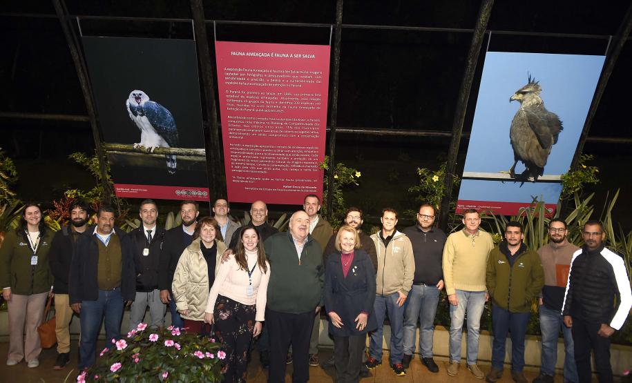 Paraná celebra meio ambiente com exposição sobre animais ameaçados; visitação é gratuita