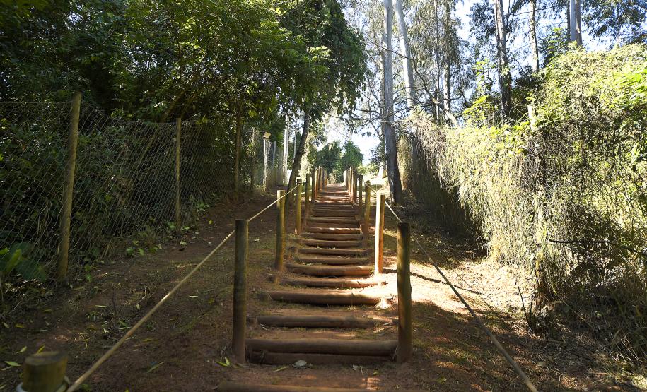 Em quase seis anos, o Paraná ganhou 42 parques urbanos e mais de 1,4 milhão de metros quadrados de área regenerada