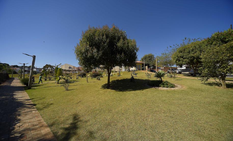 I Encontro Estadual de Arborização Urbana busca ampliar o plantio planejados de árvores nas cidades do Paraná