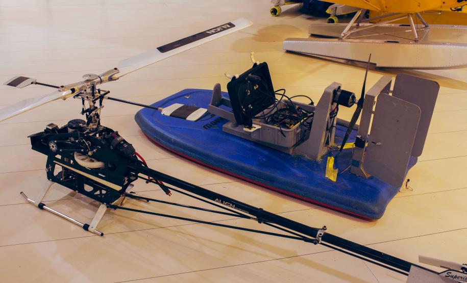 Dia Mundial do Meio Ambiente