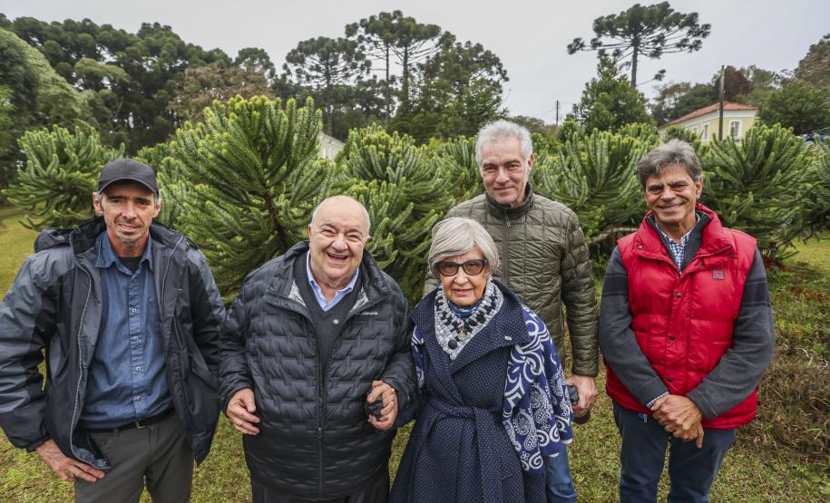 Paraná fortalece parceria com Embrapa Florestas em pesquisa para conservação da Araucária