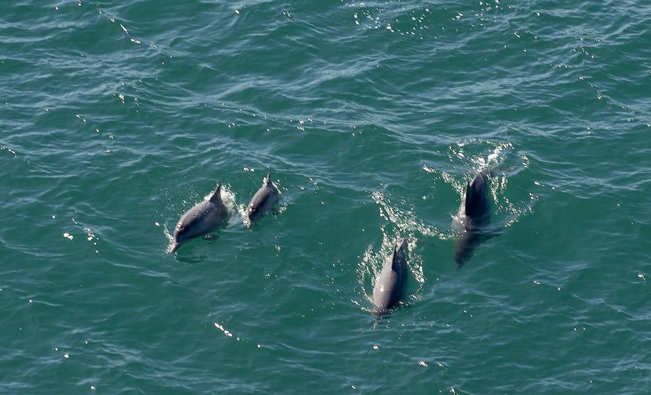 Semana do Meio Ambiente: 5 motivos que fazem do Paraná o estado mais sustentável do País