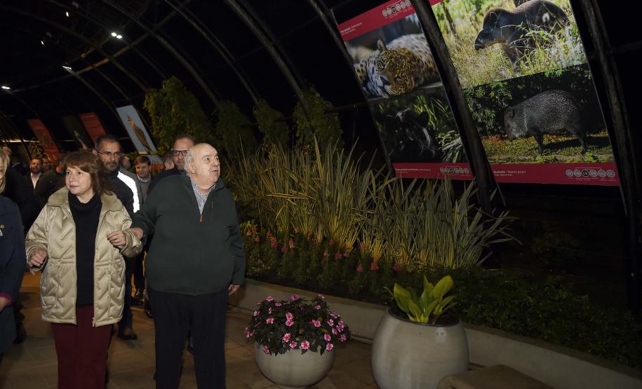 Paraná celebra meio ambiente com exposição sobre animais ameaçados; visitação é gratuita