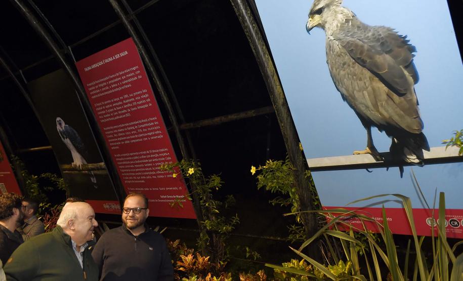 Paraná celebra meio ambiente com exposição sobre animais ameaçados; visitação é gratuita