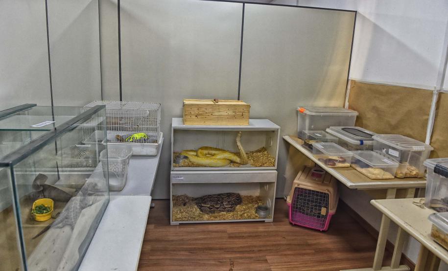 Instituto Água e Terra iniciou o processo de avaliação clínica de animais vítimas do tráfico internacional resgatados pela Polícia Civil